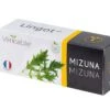 Lingot® Mizuna BIO - Voor Véritable® Indoor Moestuinen -Huisdecoratie 0969abed4eaf42779c3228de81f08219