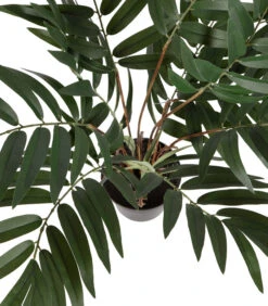 WOOOD Kwai Kunstplant - Plastic - Groen - 68x51x50 -Huisdecoratie 1007733e408348df9a3b405b24d60fe8