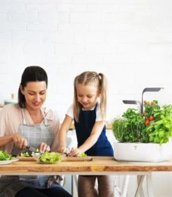 Indoor Moestuin Véritable® Connect Infinity Grey -Huisdecoratie 1607d250863c43b6b58a980ae2c248d5