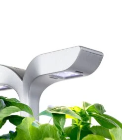 Indoor Moestuin Exky® SMART Soft Black -Huisdecoratie 1a3d54a5176a4f0b80e2a9c8f4cec1ad 1