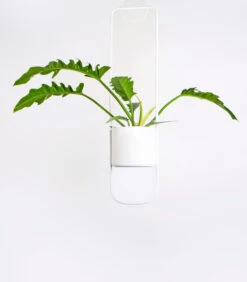 SONAR Rood -Huisdecoratie 2302b515d9624323b185021c605239a4