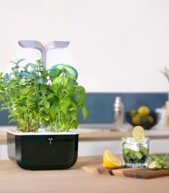 Indoor Moestuin Exky® SMART Soft Black -Huisdecoratie 2adc2da62a2a48e6936040e43fffda28