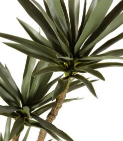 WOOOD Yucca Kunstplant - Plastic - Groen - 155x70x70 -Huisdecoratie 2b834d553ded4ddd9d663ae1d335bf63