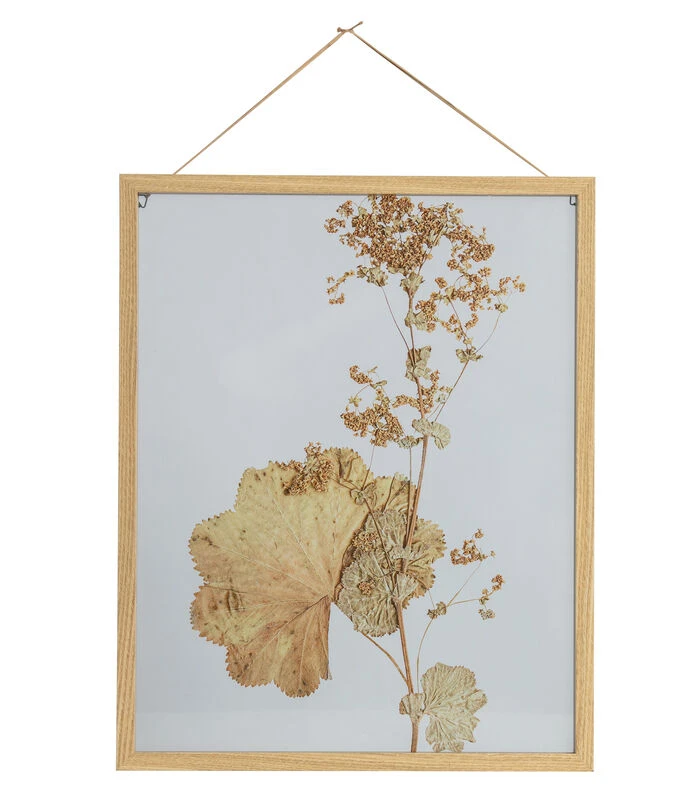 BePureHome Fotolijst Met Droogbloemen Potpourri – Hout/Glas – Naturel – 50x40x3 3 BePureHome Fotolijst Met Droogbloemen Potpourri – Hout/Glas – Naturel – 50x40x3