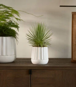 Plantenbak Rond, Bloempot Met Ribbel - Let It Grow - Wit - Maat S -Huisdecoratie 2dea5bd0c5d7470cbb520ef55a2038be