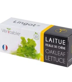 Lingot® Eikenbladsla BIO - Voor Véritable® Moestuinen