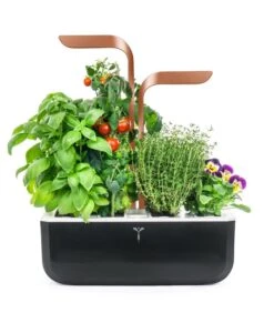 Indoor Moestuin Véritable® SMART Copper