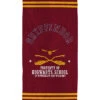 Harry Potter Strandlaken Met Fluwelen Opdruk 100% Katoen, QUIDDITCH TEAM