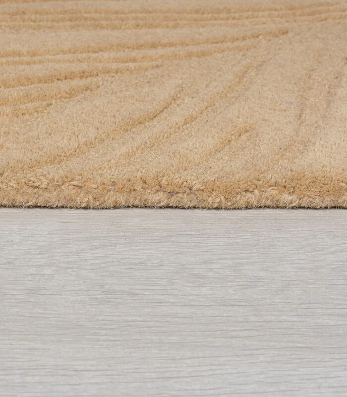 Zuivere Wol Woonkamertapijt 5 Zuivere Wol Woonkamertapijt - Afbeelding 3