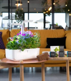 Indoor Moestuin Véritable® SMART Arctic White -Huisdecoratie 8869fdf128134adb9f129dd539b7bd17