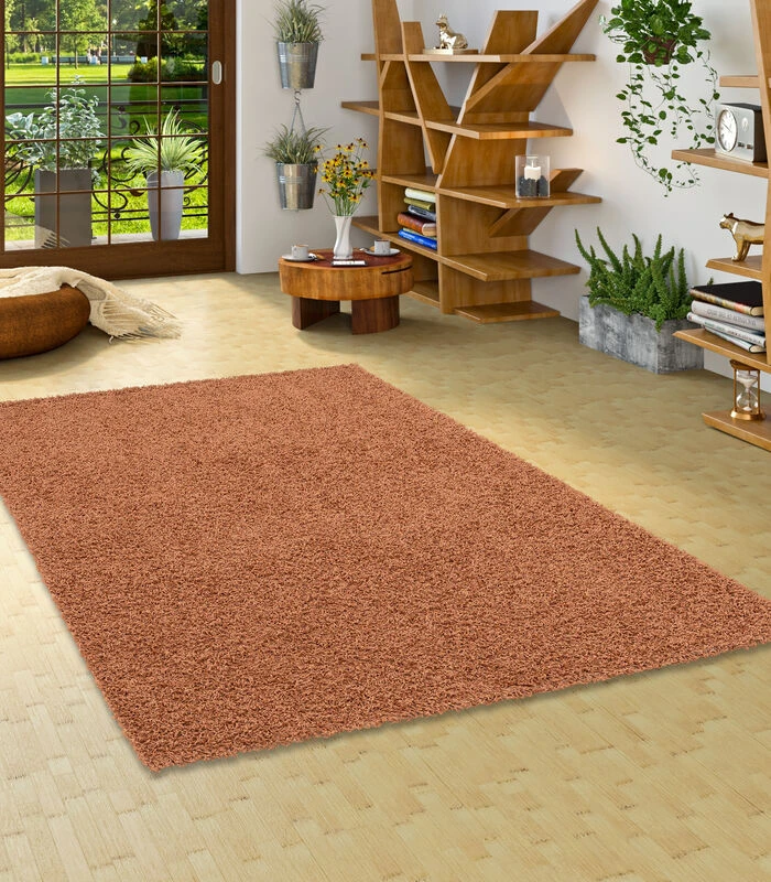 Hoogpolig Langpolig Shaggy Vloeerkleed Tapijt Fluffy 4 Hoogpolig Langpolig Shaggy Vloeerkleed Tapijt Fluffy - Afbeelding 2