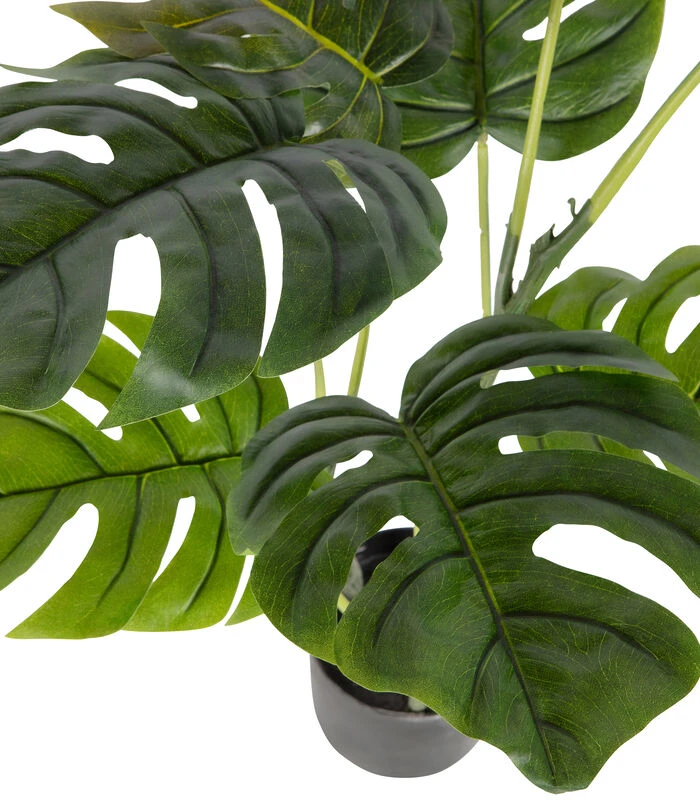 WOOOD Monstera Kunstplant - Plastic - Groen - 76x66x57 5 WOOOD Monstera Kunstplant - Plastic - Groen - 76x66x57 - Afbeelding 3