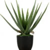 WOOOD Aloe Vera Kunstplant - Groen - 46x14x14 -Huisdecoratie 925b88c4988749a4bbc163742fc37f12