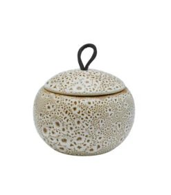 Beautybox UGO Ginger-299