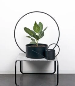 O-COLLECTION Groot Wit -Huisdecoratie 975d60d938de4e4d926ed173217d8bfa 1