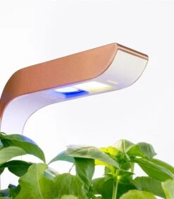 Indoor Moestuin Véritable® SMART Copper -Huisdecoratie 9c3f8919df6c48008ddf76463a8df820