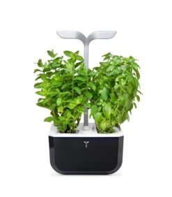 Indoor Moestuin Exky® SMART Soft Black