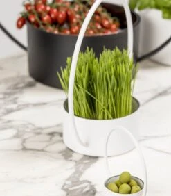 O-COLLECTION Groot Wit -Huisdecoratie 9f8faa38d15d435cb80a7c7aba4f4ae4 1