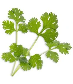 Huisdecoratie -Huisdecoratie a0d9fc21d4c4482bbba91def8788f89d