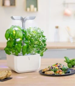Indoor Moestuin Exky® SMART Arctic White -Huisdecoratie aff0efbae54e4b5f9a7b34274ea75a06
