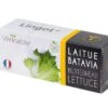Lingot® Batavia Sla BIO - Voor Véritable® Moestuinen -Huisdecoratie b1fbcc5b39574cec93306aebbdc5066d