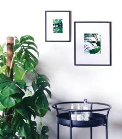 VITRO Fotokader 20 X 20 -Huisdecoratie b7805aec5c2041b282421d351057dd94 3