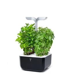 Huisdecoratie -Huisdecoratie c051ec3cb03a45c8b8518b079cc3c58f