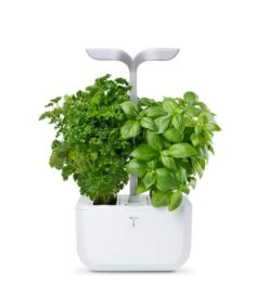 Indoor Moestuin Exky® SMART Arctic White