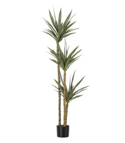 WOOOD Yucca Kunstplant - Plastic - Groen - 155x70x70 -Huisdecoratie d52006bbbc8746678256f99e45ba1bcf