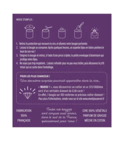 Geurkaars Vijg Met Gouden Messing Ring -Huisdecoratie dc865c737208441fa83e536d44860938