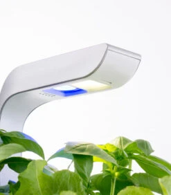 Indoor Moestuin Véritable® SMART Arctic White -Huisdecoratie e1239318136446a08d63a8bc5dc25196